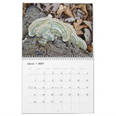 Kalender - Fantastische schimmels van het bos (Mar 2027)
