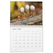 Kalender - Fantastische schimmels van het bos (Jan 2027)