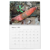 Kalender - Fantastische schimmels van het bos (Feb 2027)