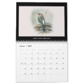 Kalender Favoriet Achtertuin Vogels #5 (Mar 2027)