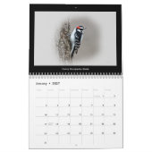 Kalender Favoriet Achtertuin Vogels #5 (Jan 2027)