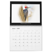 Kalender favoriete achtertuin vogels (Mar 2027)