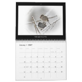 Kalender favoriete achtertuin vogels (Jan 2027)
