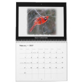 Kalender favoriete achtertuin vogels (Feb 2027)