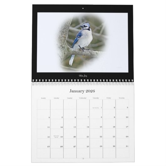 Kalender favoriete achtertuin vogels #1 (Jan 2026)