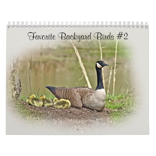 Kalender favoriete achtertuin vogels #2 (Hoes)