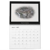 Kalender favoriete achtertuin vogels #2 (Mar 2027)