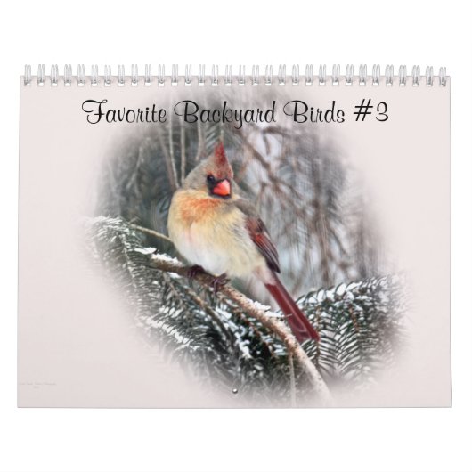 Kalender favoriete achtertuin vogels #3 (Hoes)