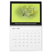Kalender favoriete achtertuin vogels #3 (Mar 2027)
