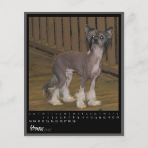 kalender februari 2012