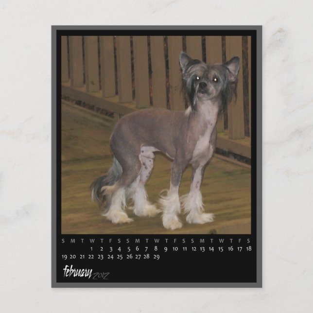 kalender februari 2012 (Voorkant)