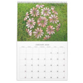 Kalender Forests 2024 bomen natuur landkunst (Jan 2026)