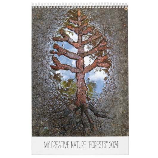 Kalender Forests 2024 bomen natuur landkunst (Hoes)