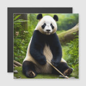 Kalender foto Panda Surprise" (Voorkant / Achterkant)