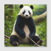 Kalender foto Panda Surprise" (Voorkant)