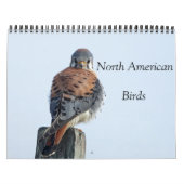 Kalender - Foto's van Noord-Amerikaanse vogels (Hoes)