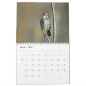 Kalender - Foto's van Noord-Amerikaanse vogels (Mar 2026)