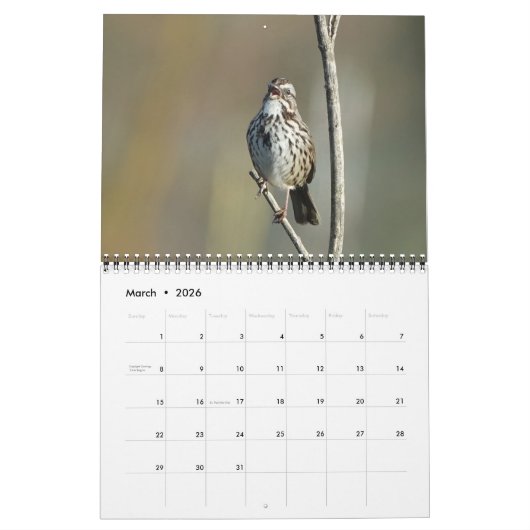 Kalender - Foto's van Noord-Amerikaanse vogels (Mar 2026)