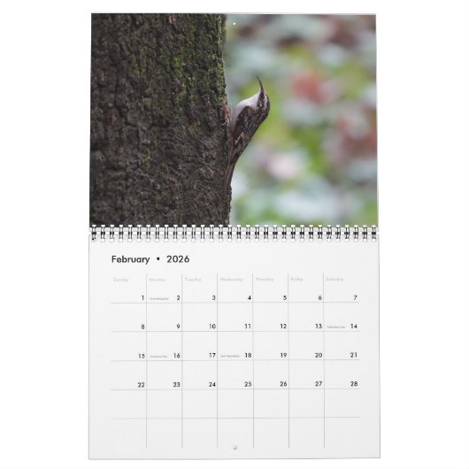 Kalender - Foto's van Noord-Amerikaanse vogels (Feb 2026)