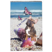 Kalender französische Bulldogge tolle Fotosammlung (Hoes)