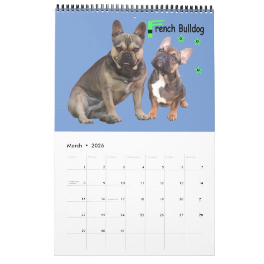 Kalender französische Bulldogge tolle Fotosammlung (Mar 2026)