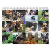 Kalender - German Shepherd (Hoes)