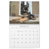 Kalender - German Shepherd (Feb 2027)