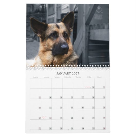 Kalender - German Shepherd (Jan 2027)