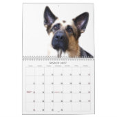 Kalender - German Shepherd (Mar 2027)