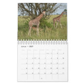 Kalender-Giraffe Kalender (Jan 2027)