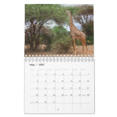 Kalender-Giraffe Kalender (Mar 2027)