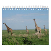 Kalender-Giraffe Kalender (Hoes)