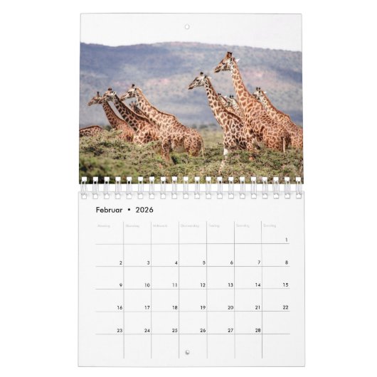 Kalender-Giraffe Kalender (Feb 2026)