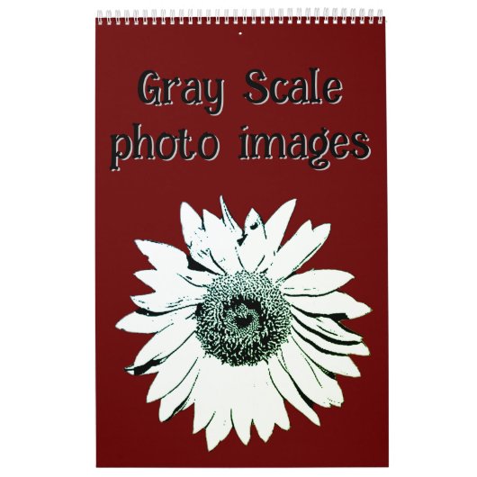 Kalender - Grijze schaal foto Afbeeldingen (Hoes)