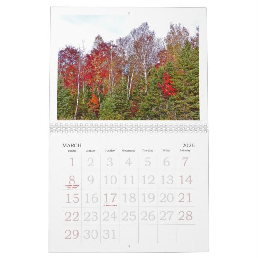 KALENDER "HERFST PALET VAN MICHIGAN" 2025 (Mar 2026)