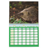 Kalender Hérissons, Hedgehog (Mar 2027)