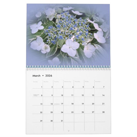 Kalender - Hydrangeas (Mar 2026)