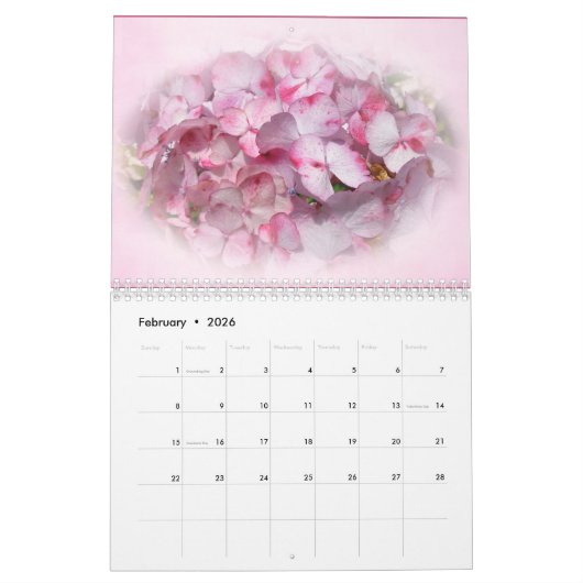 Kalender - Hydrangeas (Feb 2026)