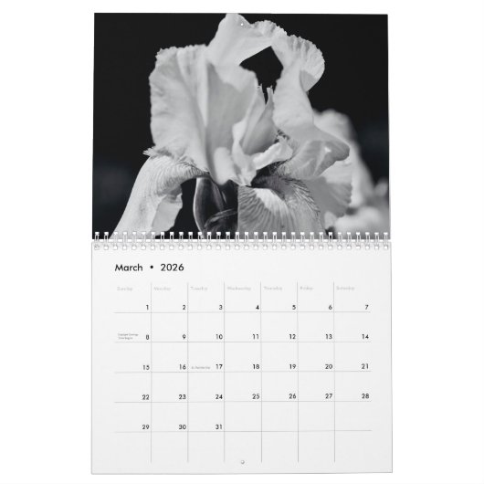 Kalender Iriss uit de tuin (Mar 2026)