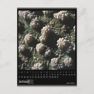 kalender januari 2010 briefkaart