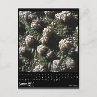 kalender januari 2010 briefkaart