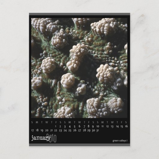 kalender januari 2010 briefkaart (Voorkant)