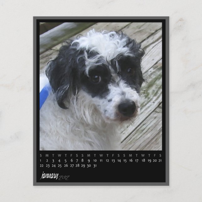 kalender januari 2012 (Voorkant)