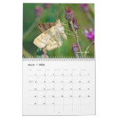 Kalender - Juwelen van de lucht (Mar 2026)