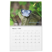 Kalender - Juwelen van de lucht (Feb 2026)