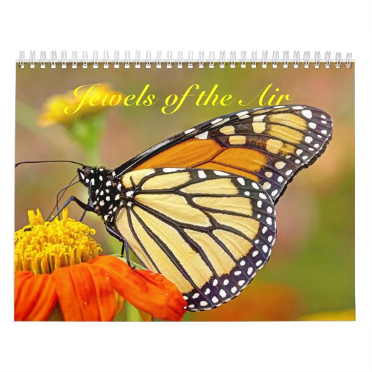 Kalender - Juwelen van de lucht (Hoes)