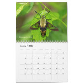 Kalender - Juwelen van de lucht (Jan 2026)