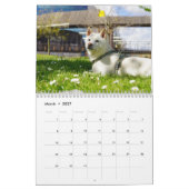 Kalender Kaki-Maru 2025 (Mar 2027)