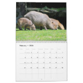 kalender knaagdieren (Feb 2026)
