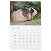 kalender knaagdieren (Mar 2026)